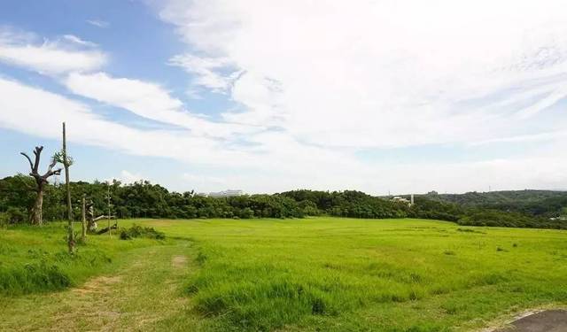 911黑料网吃瓜网 负责任的信息传播之上