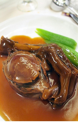 困困狗2月21 困困狗月可以补充更多描述