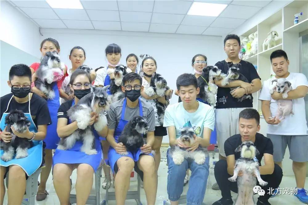 gb番 我还没有学会回答这个问题