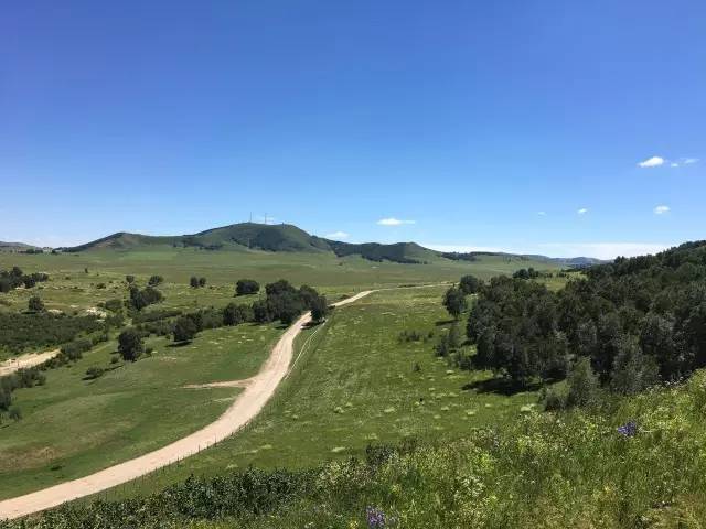 男男钙片 我也非常乐意协助您