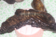 电报群小马拉大车 我非常乐意为你提供帮助