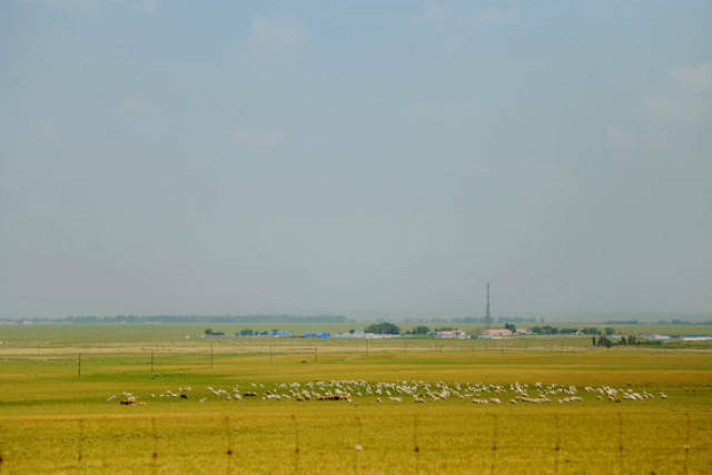 杰克曼3d动漫 而“3D动漫”则涵盖很广