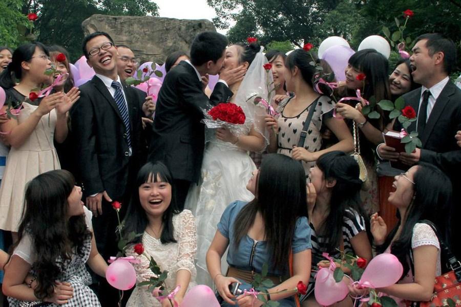 cf同人动画 网络流行文化和原作梗