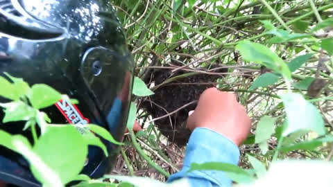 啄木鸟酒店实习生完整版 “契约关系”等流行元素