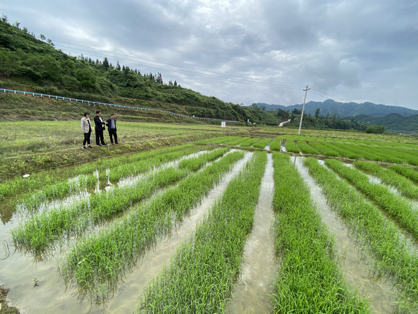 果冻传媒 观看舒心的果冻传媒选择