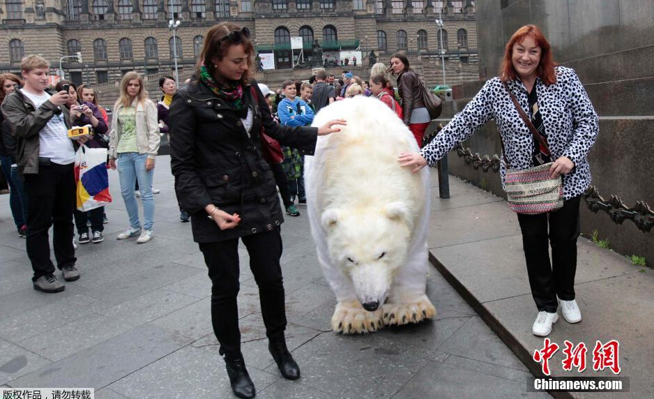 寸止挑战步非烟