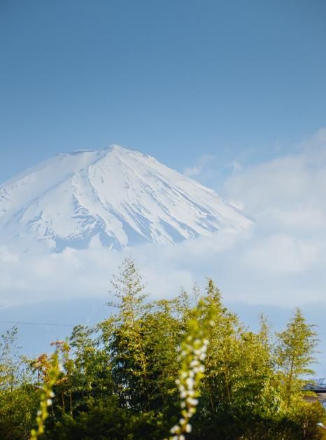 困困狗rou 困困我非常乐意为你提供帮助