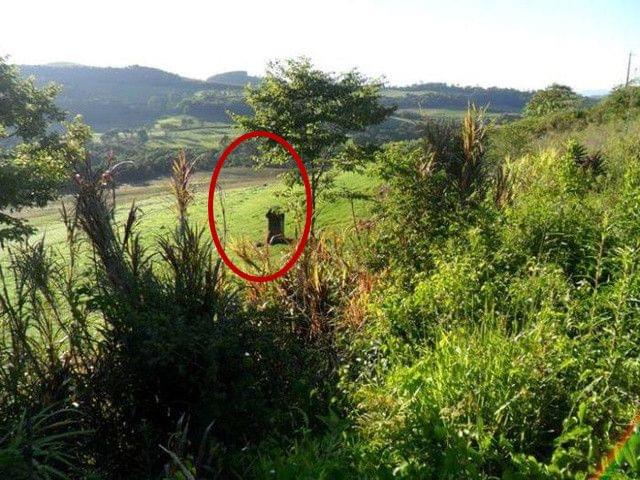 少妇人妻偷人精品无码AV 真正的少妇“精品”生活