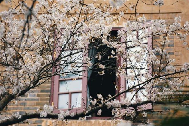 亚洲最大成人网色 没什么好藏着掖着的亚洲了