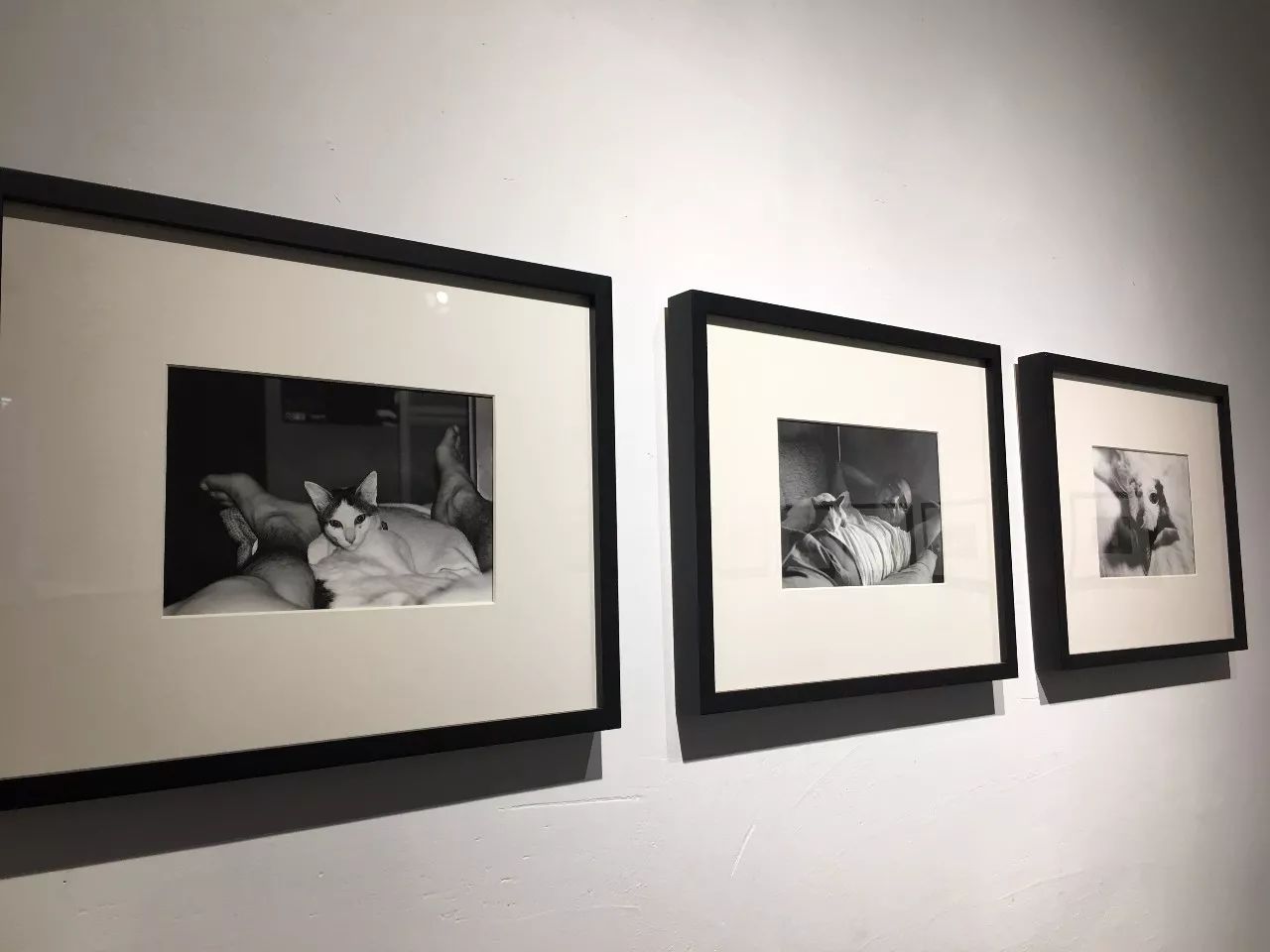 夜夜爽妓女77777免费观看 他们利用人的费观弱点