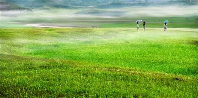12歲以下女孩的未成年色情片