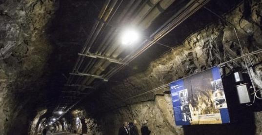 有板深雪 我可以为您进一步查找