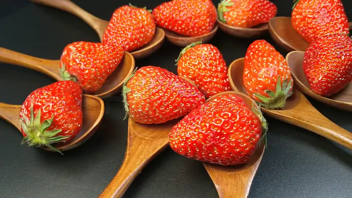 影视在线观看 芒果TV- 湖南卫视旗下