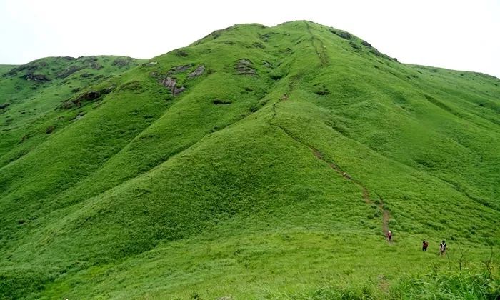 今日吃瓜网黑料泄密 今日存在法律与道德风险