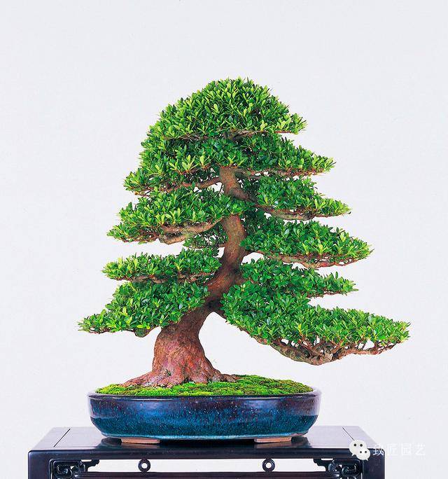 18动漫视频资源 严重侵害创作者权益