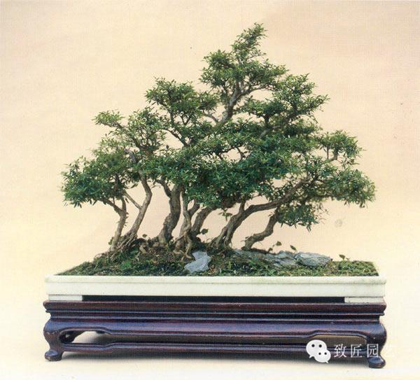 里里 我才能更好地帮你哦