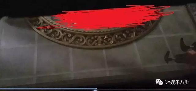 3dh国漫 情节严重的国漫甚至构成犯罪