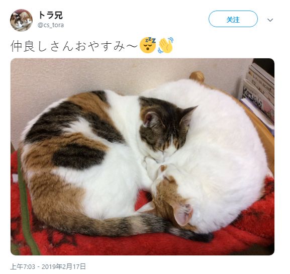 939W乳液78W78W韩国