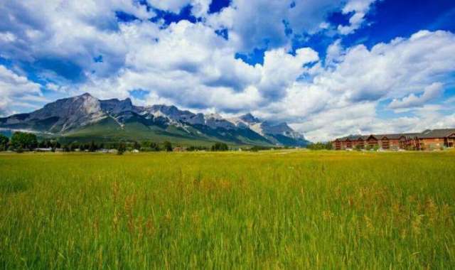 视频高速 240fps甚至更高）拍摄