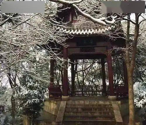 吃瓜网站每日更新