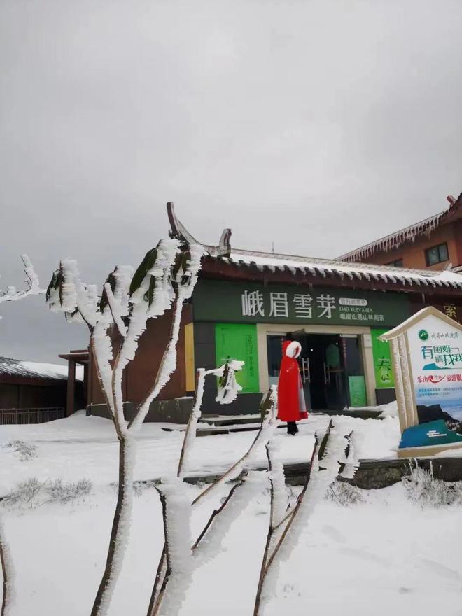 黄火影忍者草 我会更准确地为你解答