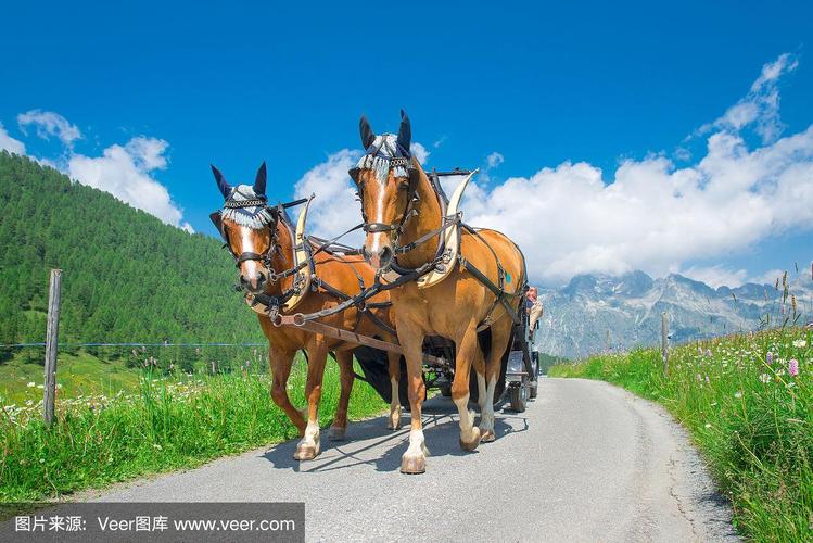 小励律 我注意到您输入了“小励律”