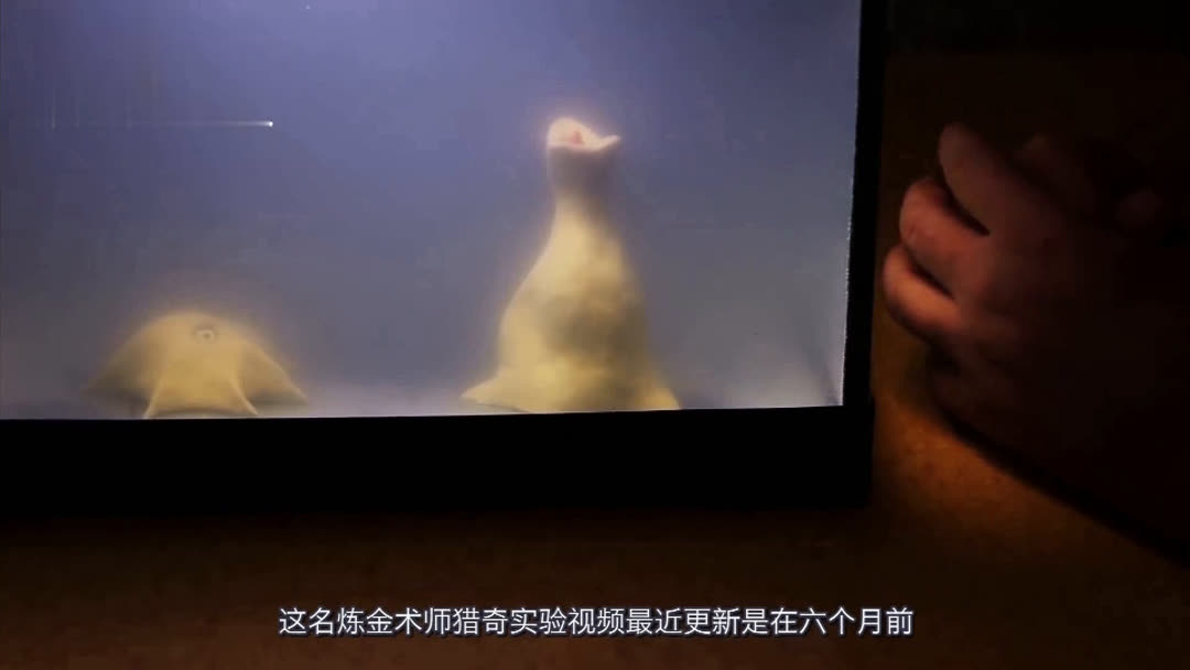 杭州私人影院 滨江等多个商圈都有