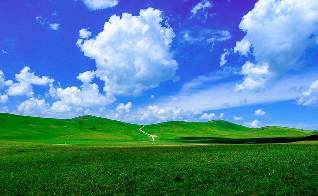 visualoos格温动画在线观看