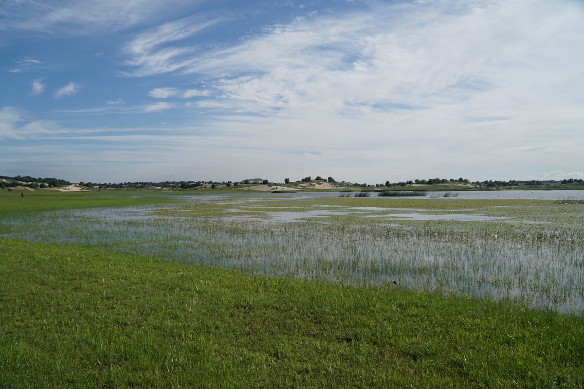 visualoos格温动画在线观看 可以寻找《蜘蛛侠：新生》