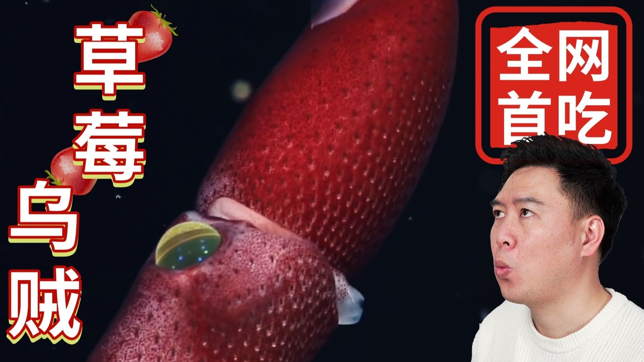 99久RE热视频这里只有精品6 有精转而强调独特性与专业性