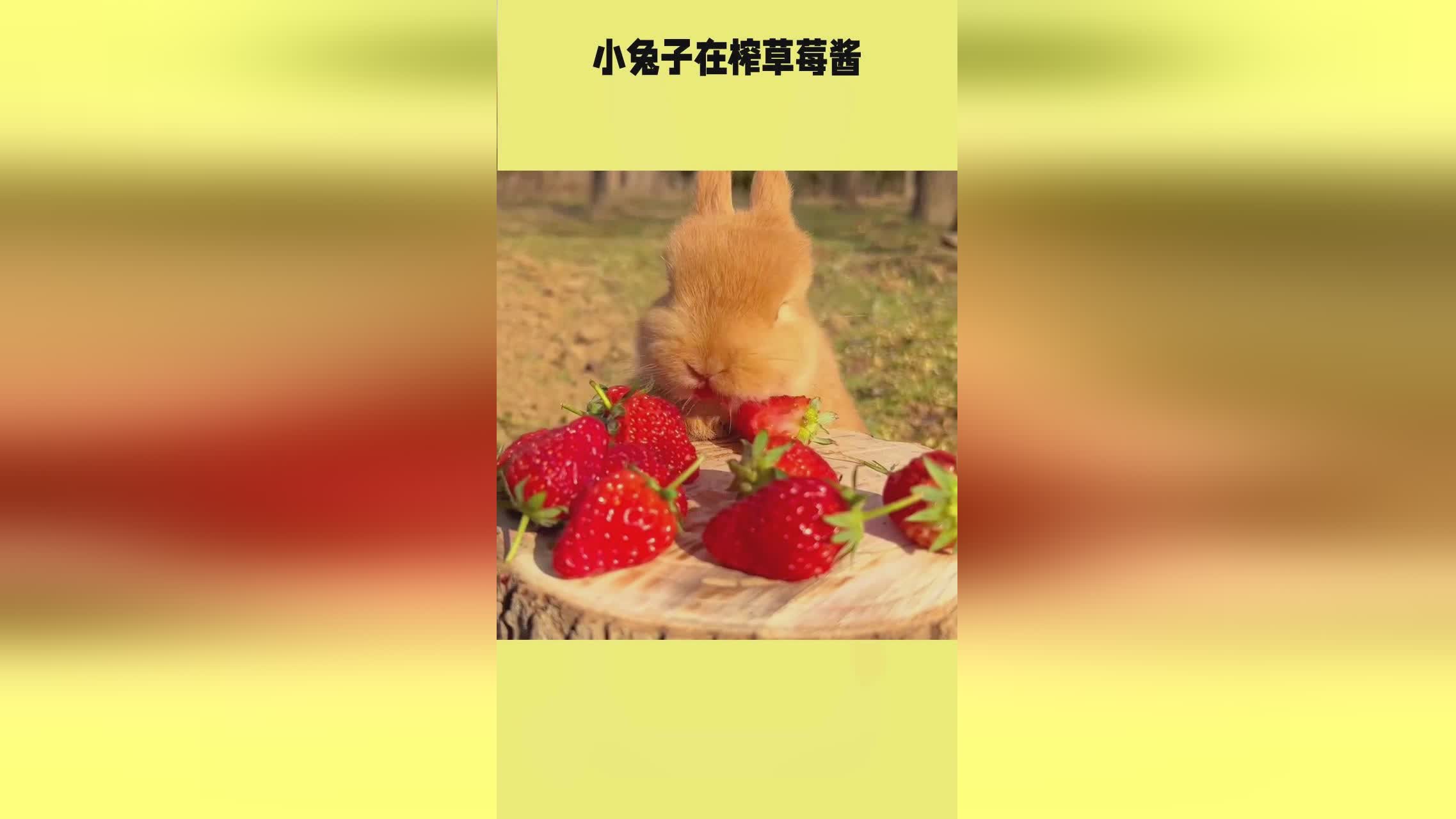 ass年轻少妇pic精品 