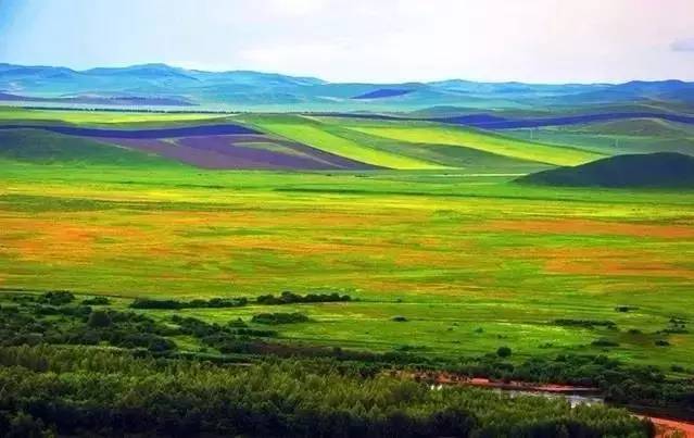 啄木鸟经典中文