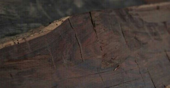 一二三四日本无吗影视 日本人做事讲究细节