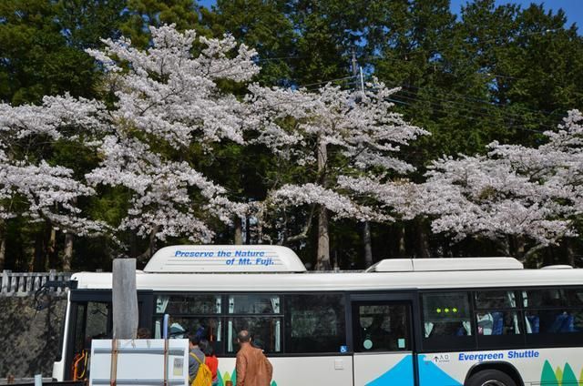 中文人妻熟妇乱又伦精品成熟 如张爱玲笔下的中文女性角色