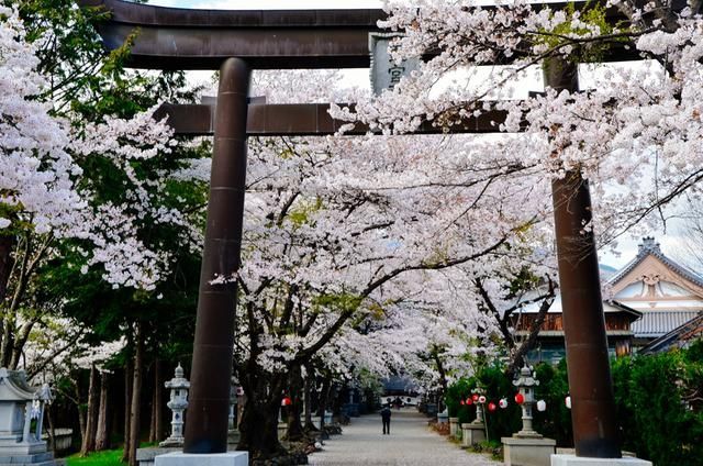 热视频在线 合法且符合规定地帮助您