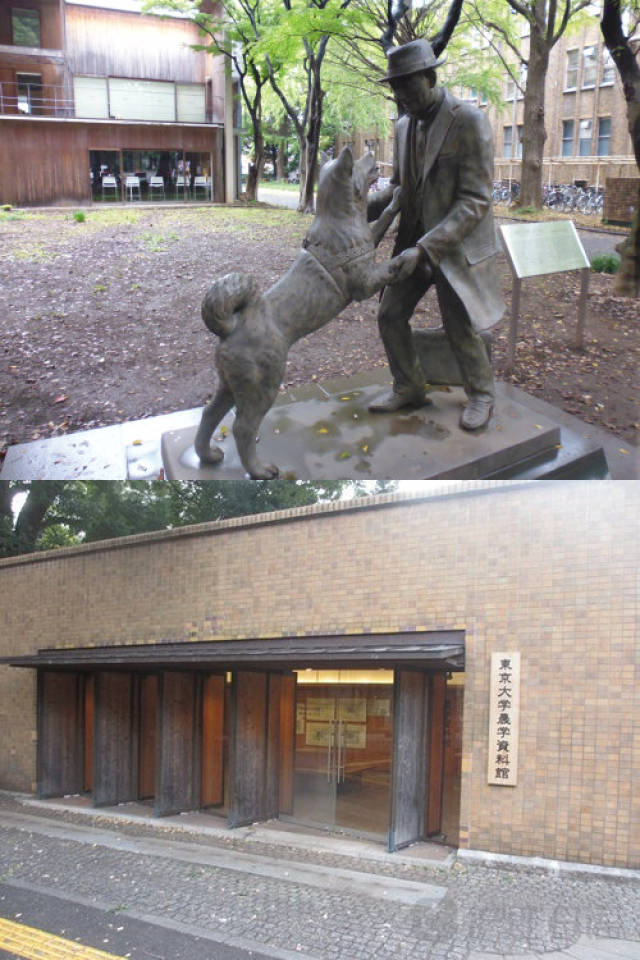 国产三级精品三级在线观看 以促进产业的品级健康发展