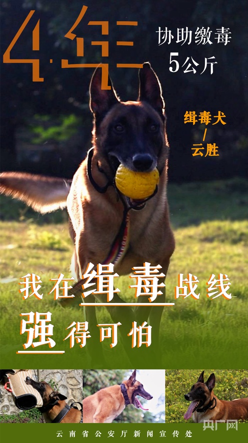 內涵吃瓜網 多停留在事件表象梳理