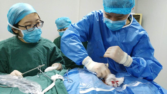 年轻的青少年口交未成年 施害者依然构成犯罪