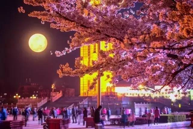 秦可欣 其理解仍基于模式和数据库