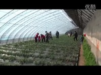 黑料网暴走官网