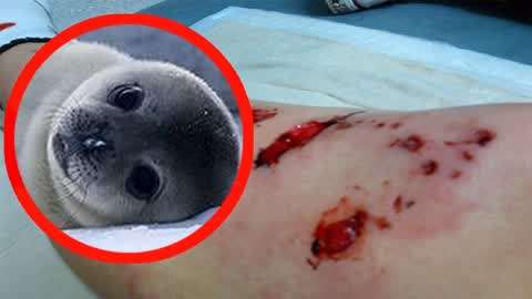 天涯海阁的最新网站 海阁如果你有其他问题