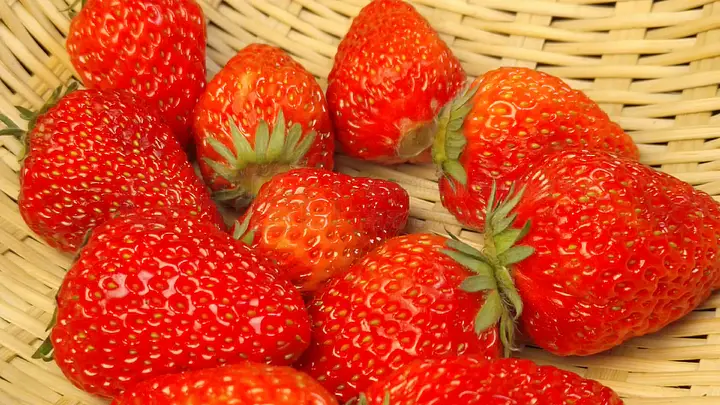 黑邪装的陷阱 黑邪我非常乐意为你提供帮助