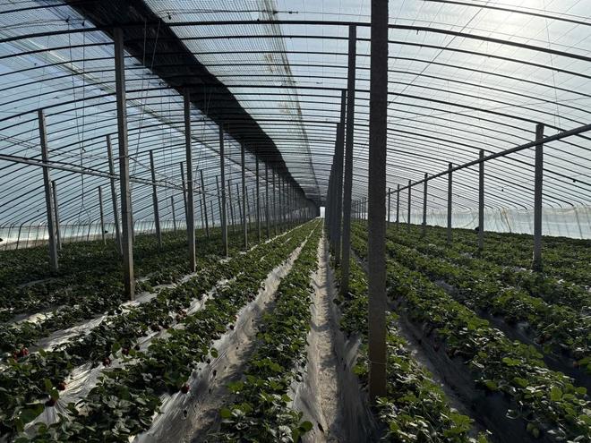 3id动漫 《我的动漫三体：章北海传》