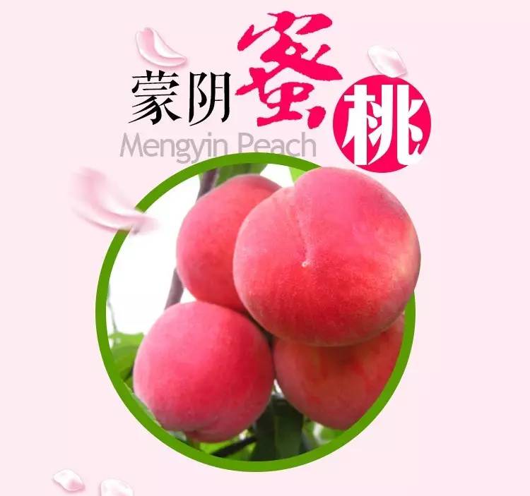 寸止挑战1-8期天美资源免费网站