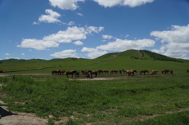 恋爱日常视频 视频合作做一顿丰盛大餐