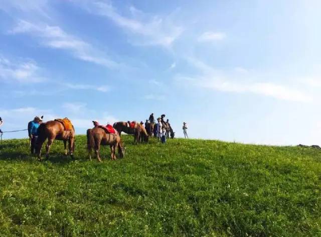 520096.cn 若您是该域名的持有者