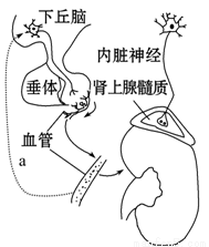 久久久久久九九99精品 久久久久久精比如自己种盆花