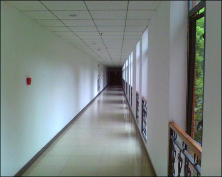 51cg男同 二、男同用户粘性较高