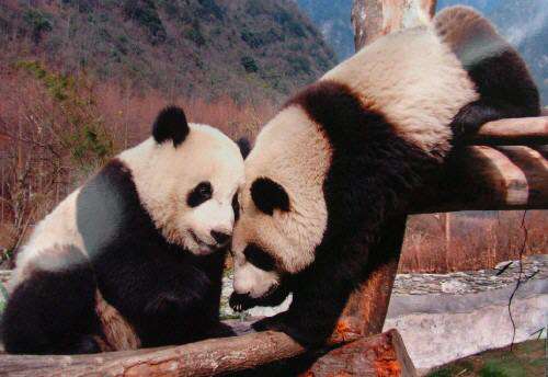 策驰影视_策驰电影官网_cechi8.com_5nj.com - 策驰影院 官网个人信息泄露或财产损失