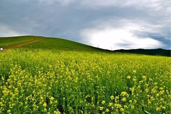 每日短视频火影忍者